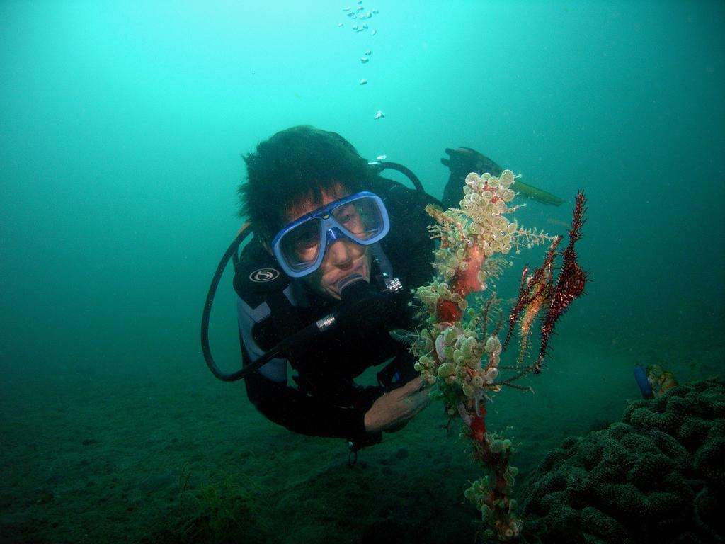 Camiguin Volcan Beach Eco Retreat & Dive Resort Mambajao Luaran gambar