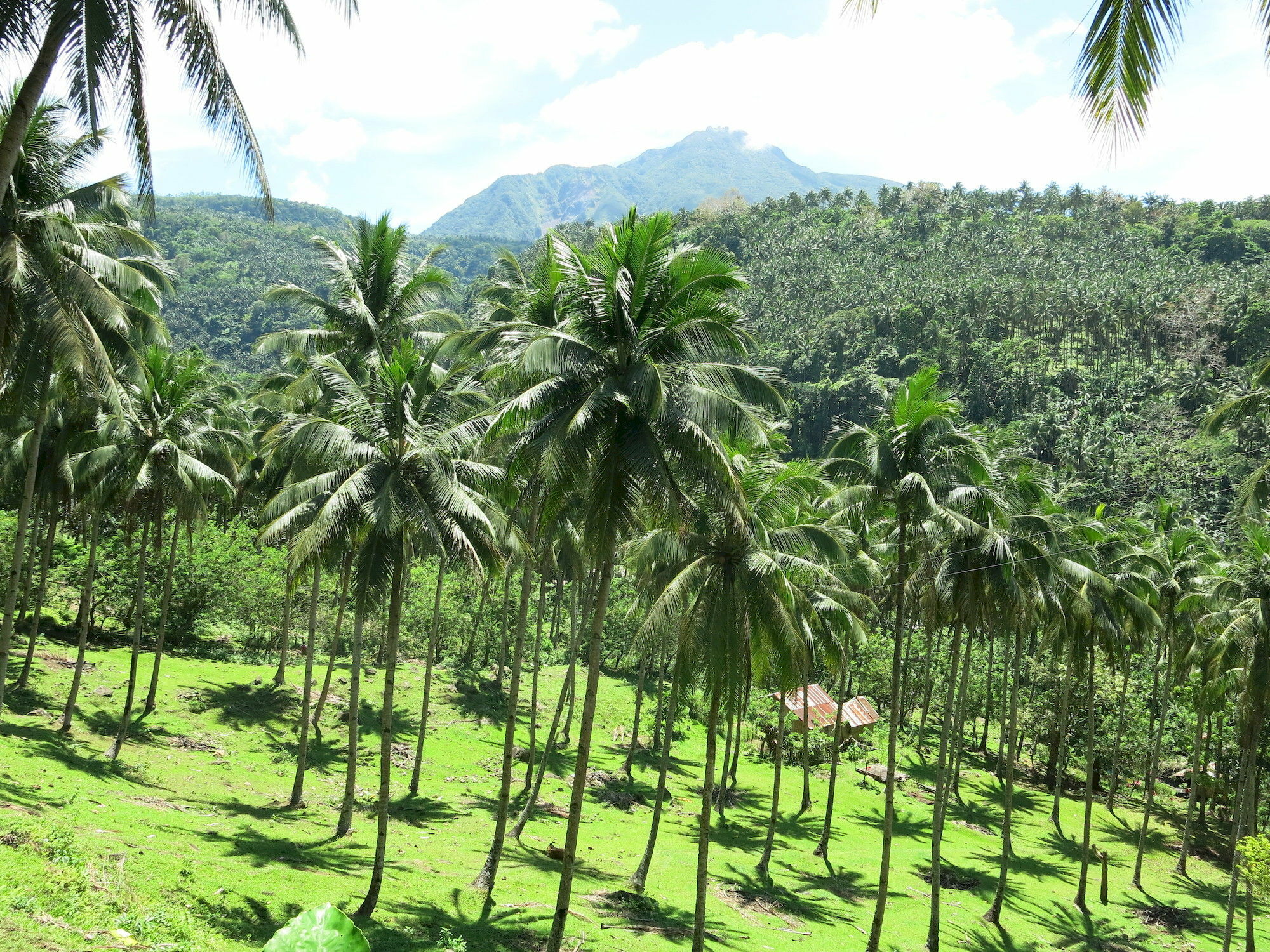 Camiguin Volcan Beach Eco Retreat & Dive Resort Mambajao Luaran gambar